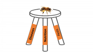 Three Legged Stool